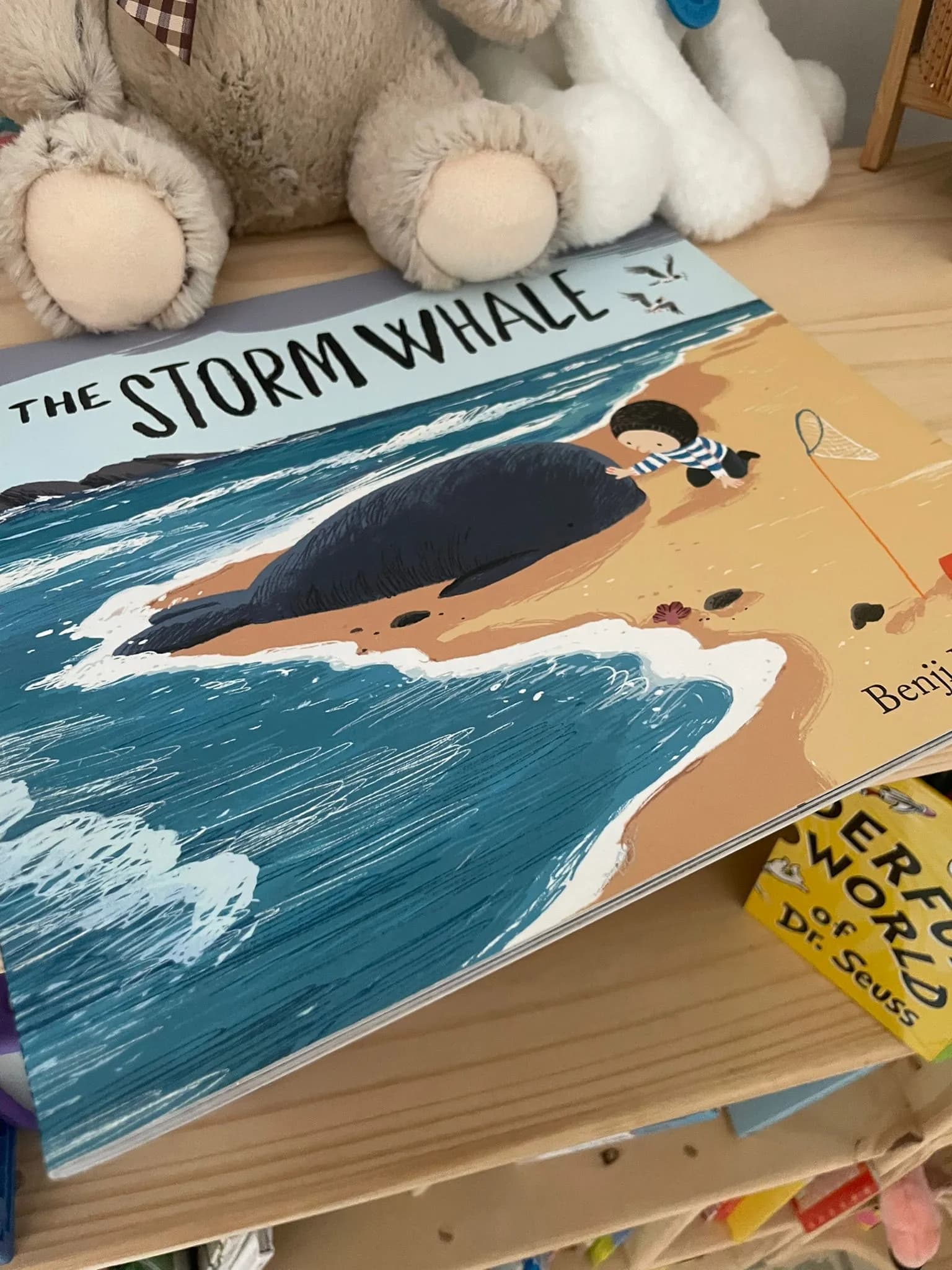 The Storm Whale children's book cover